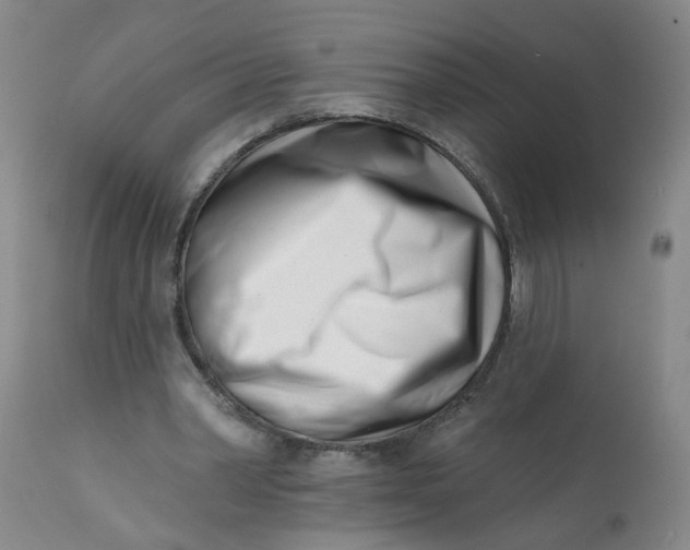 X0000113200390200910011301