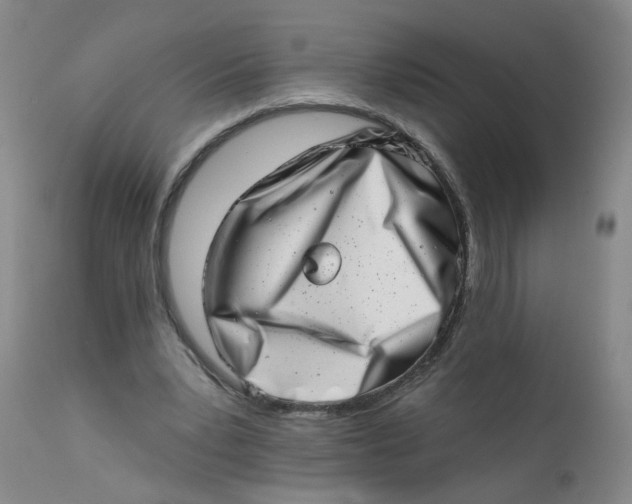 X0000113200391200910011301