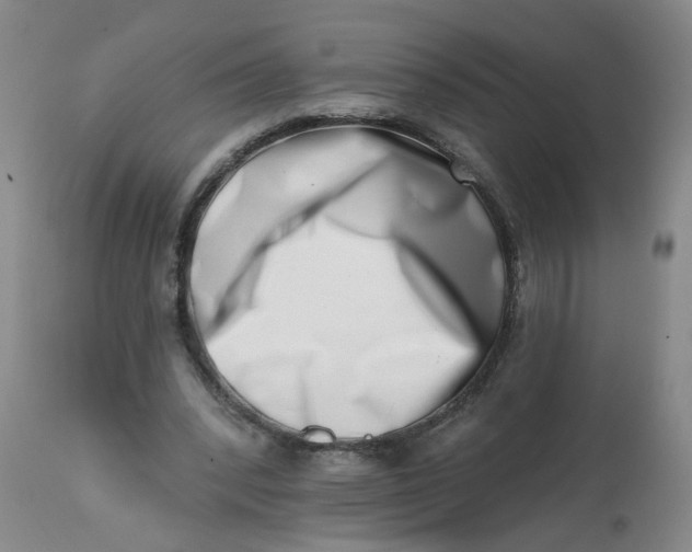 X0000113200392200910011301