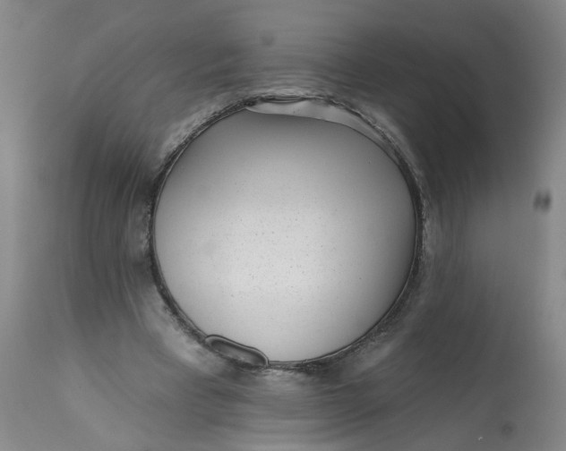 X0000113200393200910011301