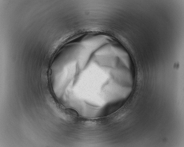 X0000113200394200910011301