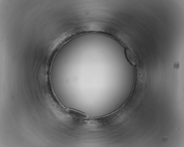 X0000113200395200910011301