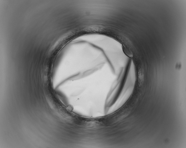 X0000113200396200910011301