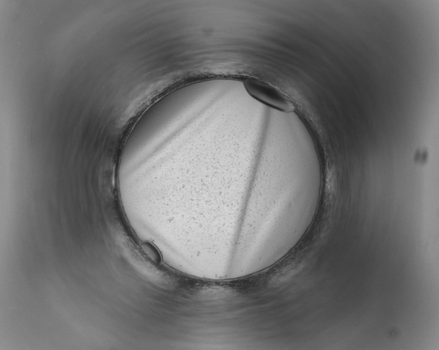 X0000113200397200910011301