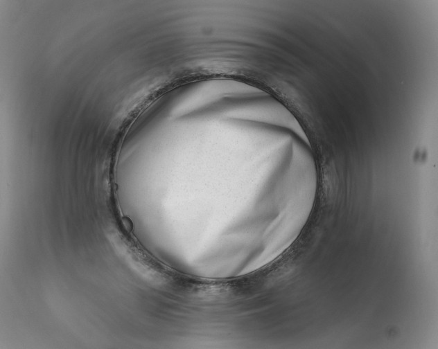 X0000113200398200910011301