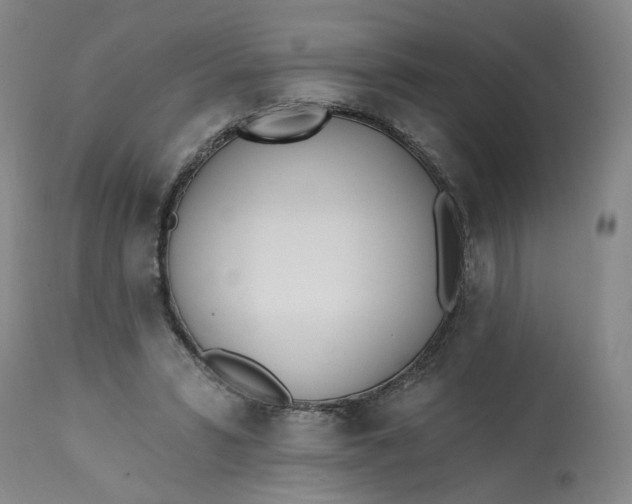 X0000113200399200910011301