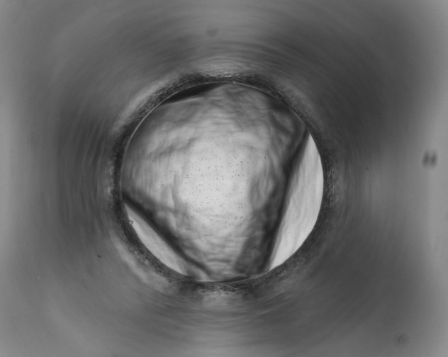 X0000113200400200910011301