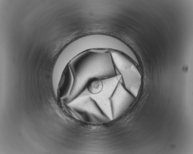 X0000113200401200910011301