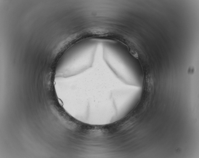 X0000113200404200910011301