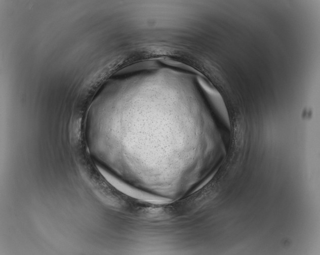 X0000113200406200910011301