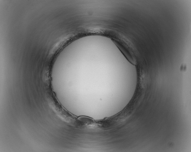 X0000113200407200910011301