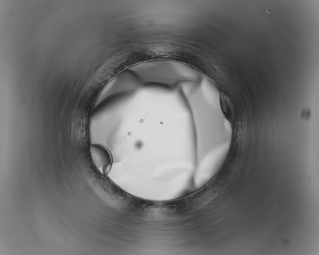 X0000113200408200910011301