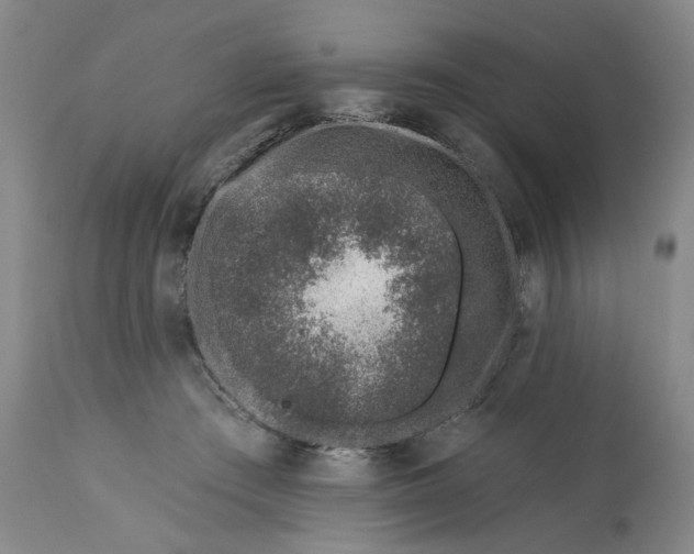 X0000113200409200910011301