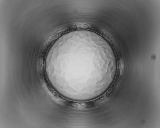 X0000113200410200910011301