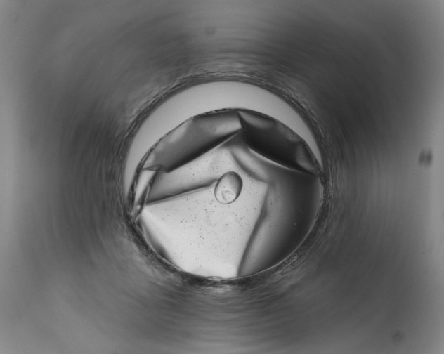 X0000113200411200910011300