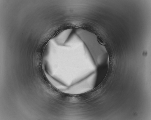 X0000113200412200910011300