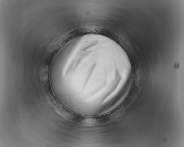 X0000113200413200910011300