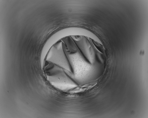 X0000113200415200910011300