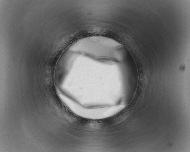 X0000113200416200910011300