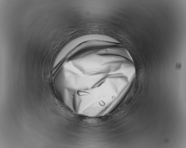 X0000113200417200910011300