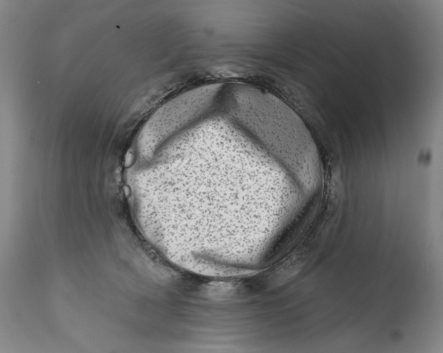 X0000113200418200910011300