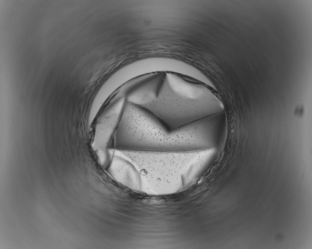 X0000113200419200910011300