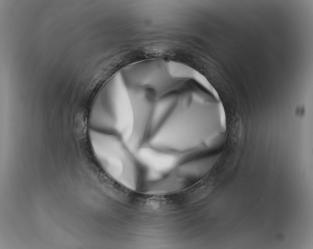 X0000113200420200910011300