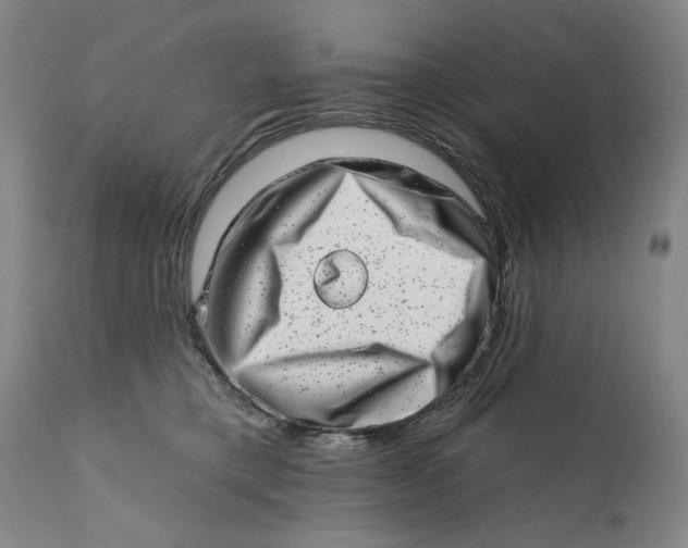 X0000113200421200910011300