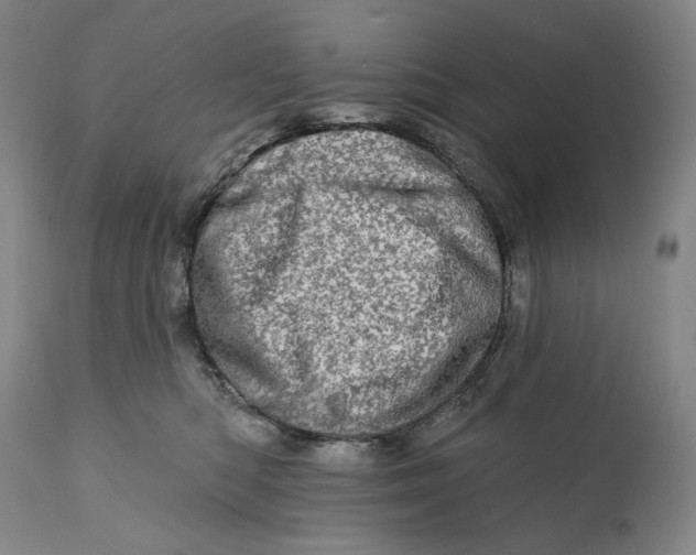 X0000113200422200910011300