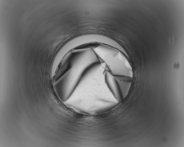 X0000113200423200910011300