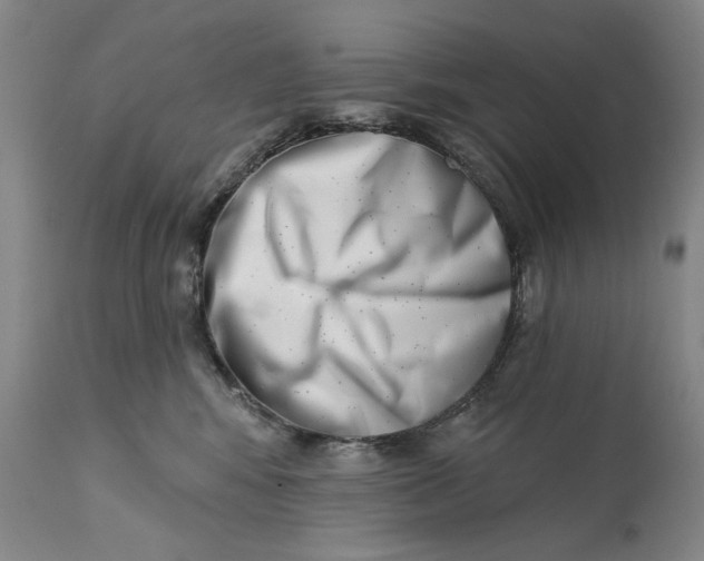 X0000113200424200910011300