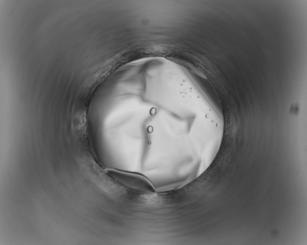 X0000113200425200910011300