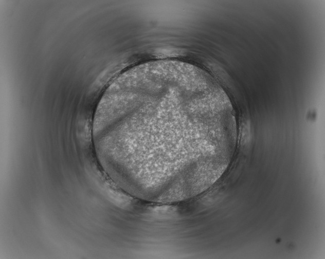 X0000113200426200910011300