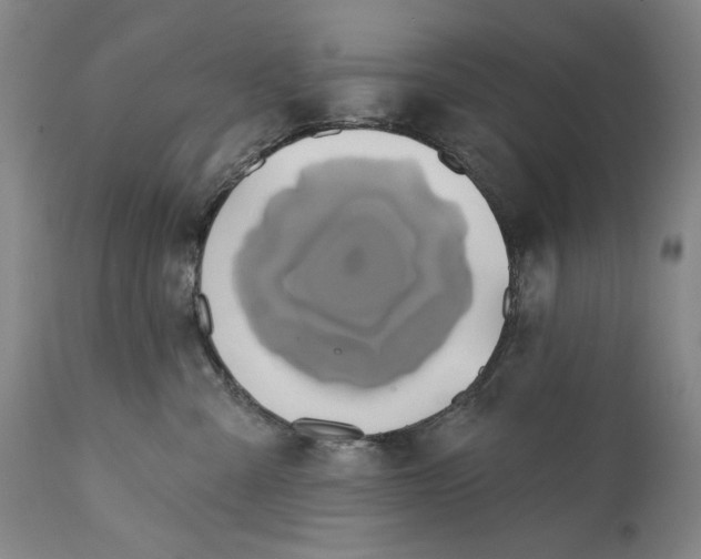 X0000113200427200910011300