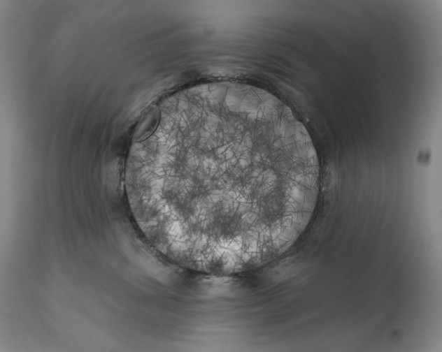 X0000113200428200910011300