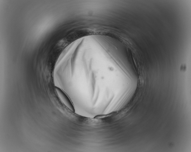 X0000113200429200910011300