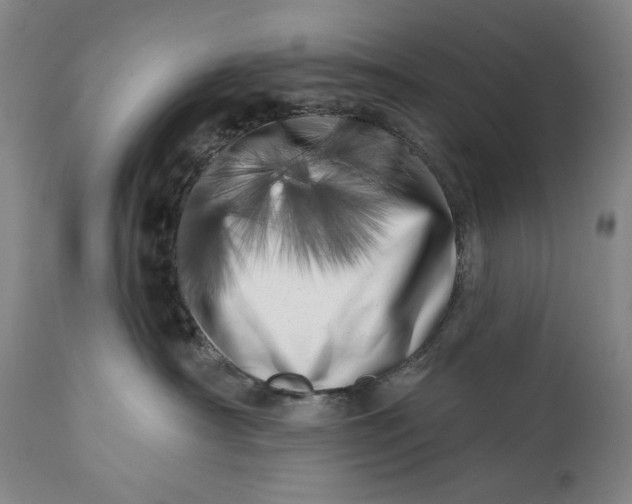 X0000113200430200910011300