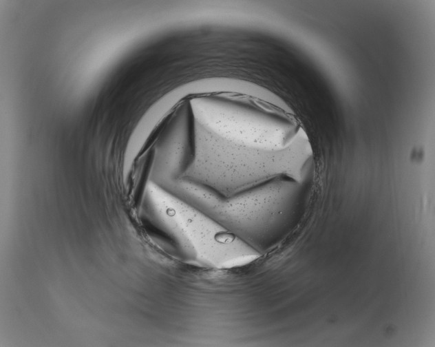 X0000113200431200910011300