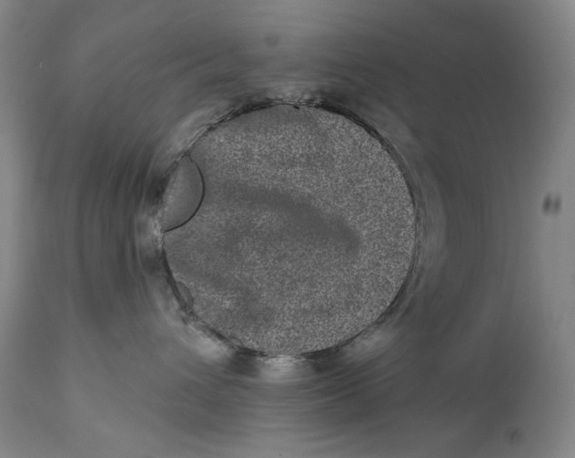 X0000113200432200910011300