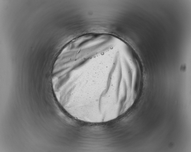 X0000113200433200910011300