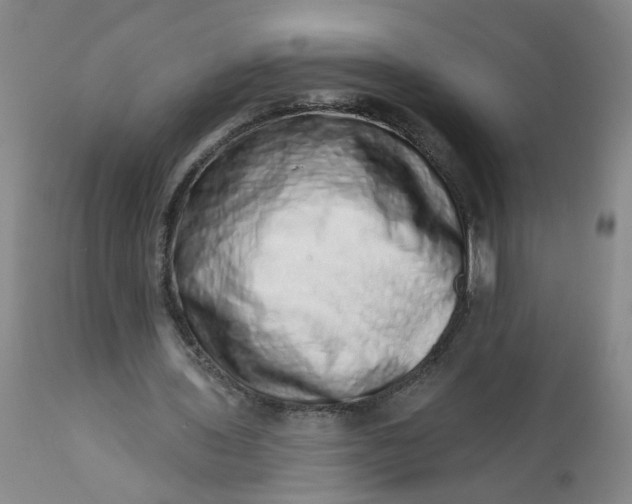 X0000113200435200910011300