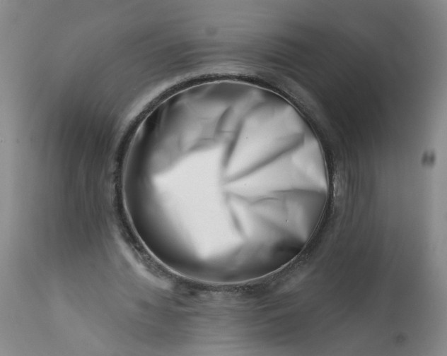 X0000113200436200910011300