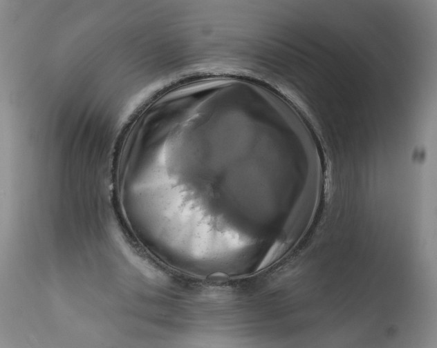 X0000113200438200910011300