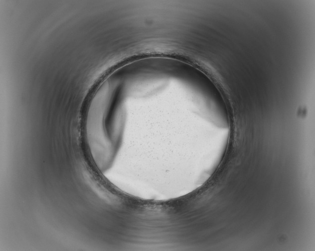 X0000113200439200910011300