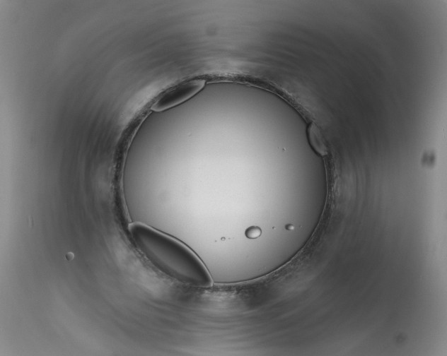 X0000113200440200910011300