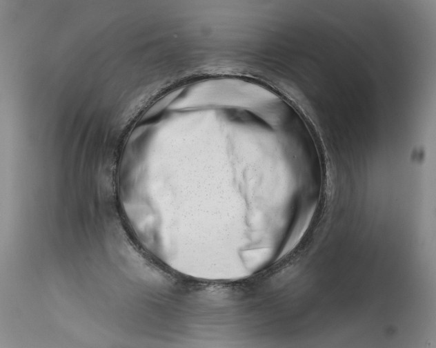 X0000113200441200910011300