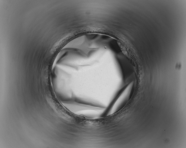 X0000113200442200910011300