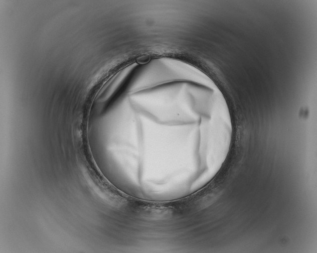 X0000113200443200910011300