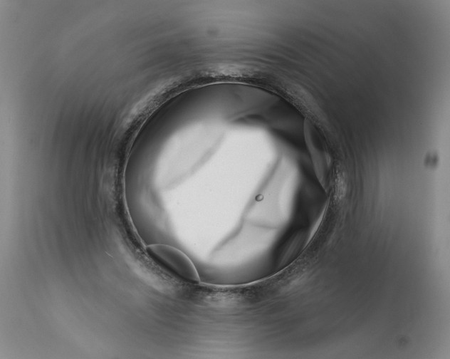 X0000113200444200910011300