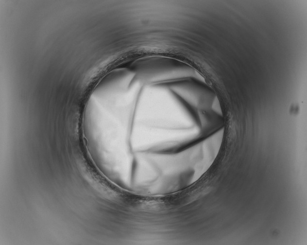 X0000113200446200910011300